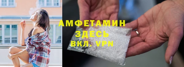 ГАЛЛЮЦИНОГЕННЫЕ ГРИБЫ Богданович